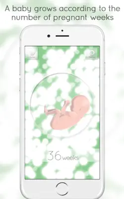 Hello Baby android App screenshot 4